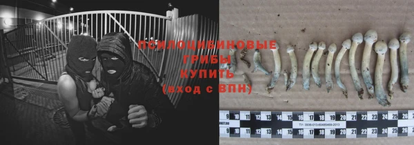сатива Абинск