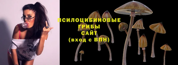 сатива Абинск