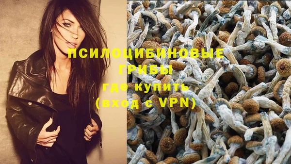 спайс Абаза