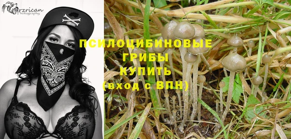 сатива Абинск