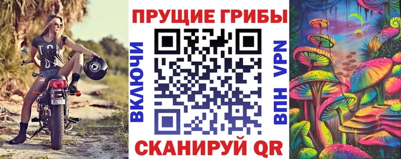 мега маркетплейс  Новоалександровск  Псилоцибиновые грибы мухоморы 