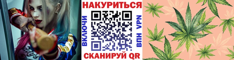 продажа наркотиков Новоалександровск ссылка на мегу ССЫЛКА Конопля SATIVA & INDICA